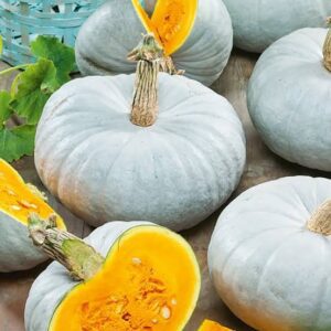 Crown Pumpkin