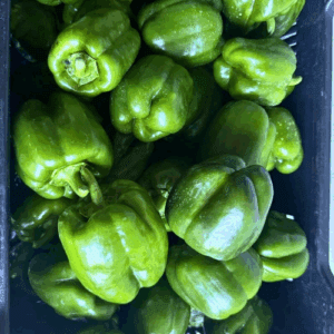 Green Peppers