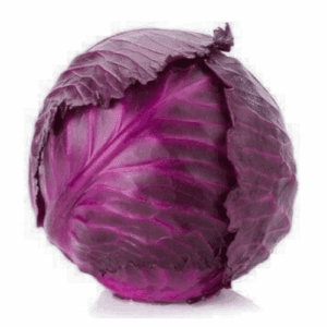 Red Cabbage