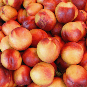 Nectarines